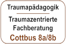 Traumazentrierte Fachberatung: Module 8a + 8b